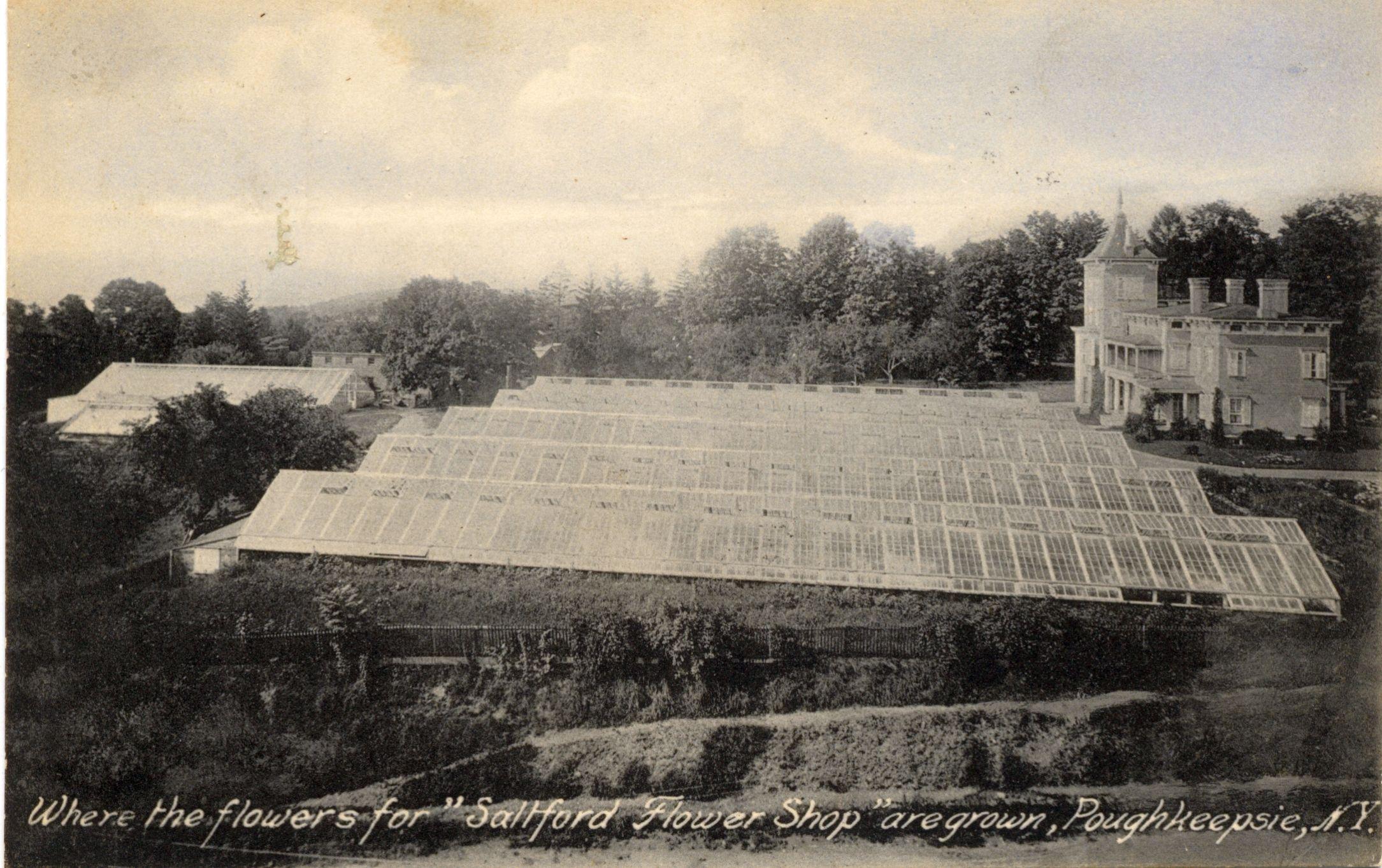 A historic postcard of the Saltford flower greenhouses in Poughkeepsie