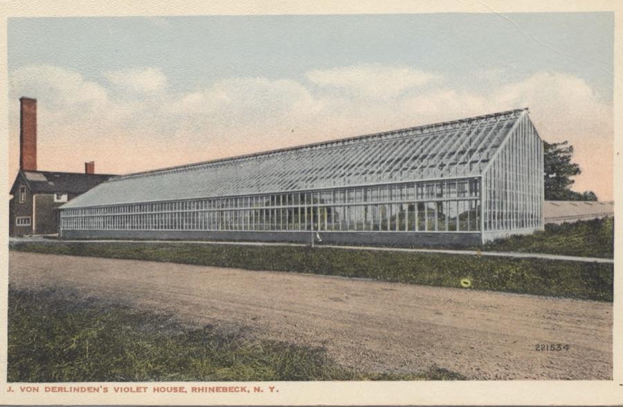 J. Von der Linden's Violet House, Rhinebeck, N.Y., postcard