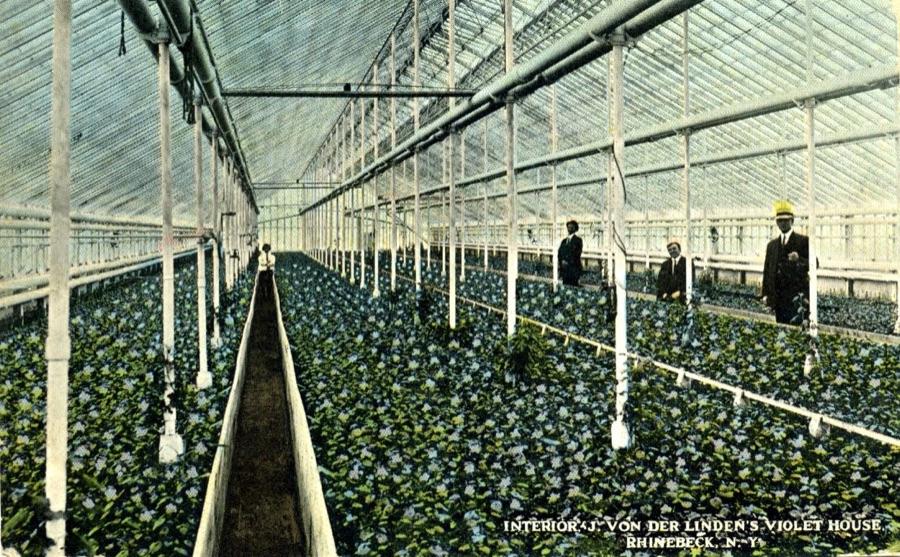 Interior of J. Von der Linden's Violet House, Rhinebeck, N.Y., postcard